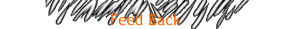Feed Back